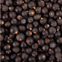 Black currant vibrant fruity note that enhances the freshness of Flex perfume