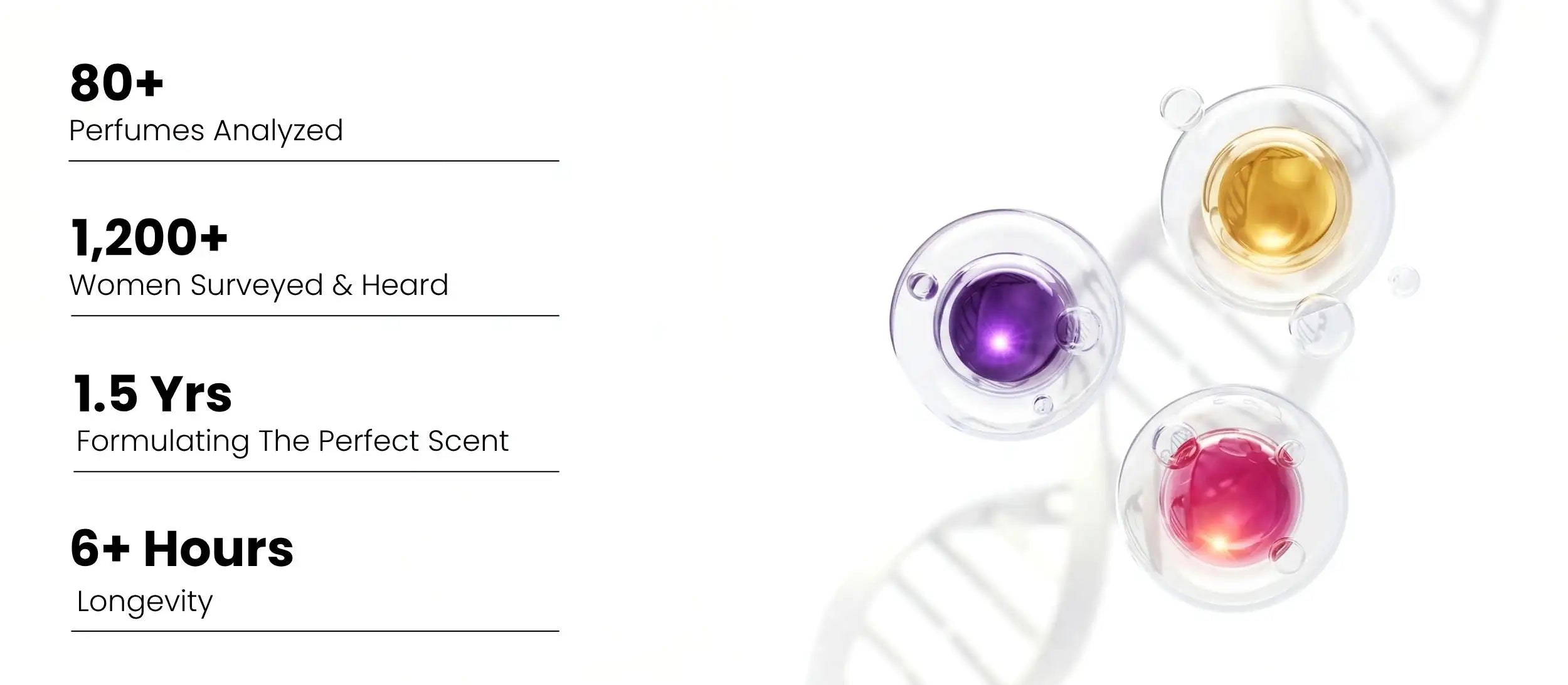 The-Bold-Rose-Perfume-Flex-Vibe-Slay-Long-Lasting-main-banner-2.webp__PID:d233de0c-35ae-4d0c-87a5-dfb62cfd186a