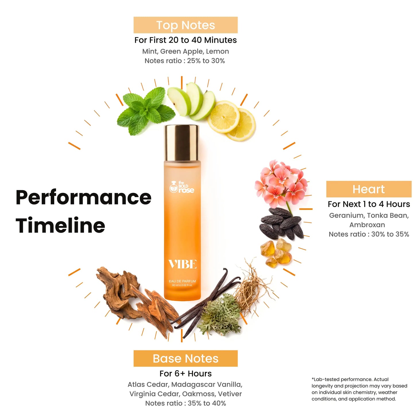 Vibe perfume bottle with performance timeline and notes description on a white background