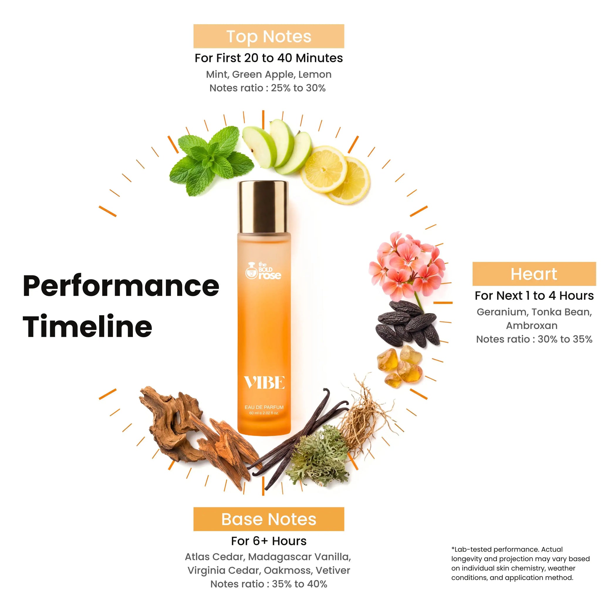 Vibe perfume bottle with performance timeline and notes description on a white background