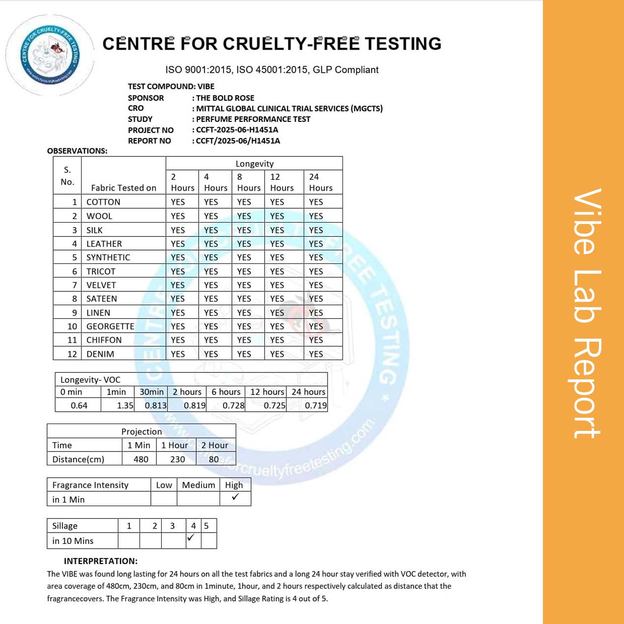 Vibe 6+ Hour Performance